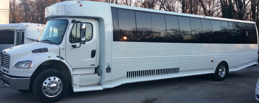 VIP Coach Bus
